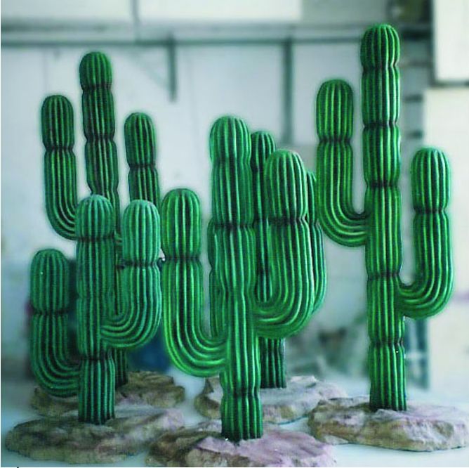 Cactus